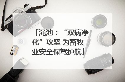 渑池：“双病净化”攻坚 为畜牧业安全保驾护航