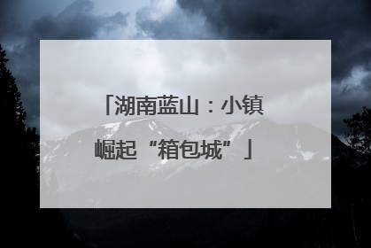湖南蓝山：小镇崛起“箱包城”