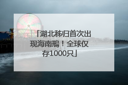 湖北秭归首次出现海南鳽！全球仅存1000只