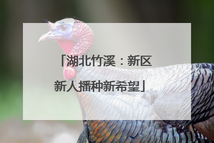 湖北竹溪：新区新人播种新希望