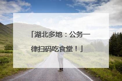 湖北多地：公务一律扫码吃食堂！