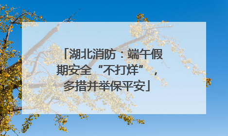 湖北消防：端午假期安全“不打烊”，多措并举保平安