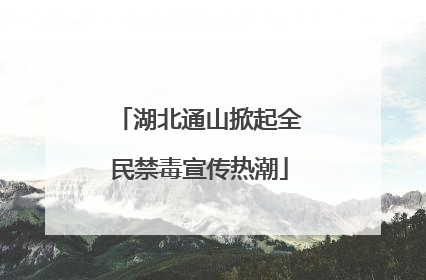 湖北通山掀起全民禁毒宣传热潮