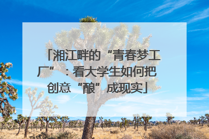 湘江畔的“青春梦工厂”：看大学生如何把创意“酿”成现实
