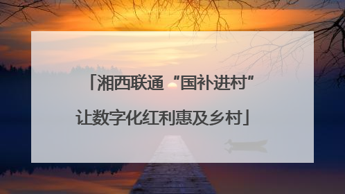 湘西联通“国补进村”让数字化红利惠及乡村