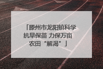 滕州市龙阳镇科学抗旱保苗 力保万亩农田“解渴”