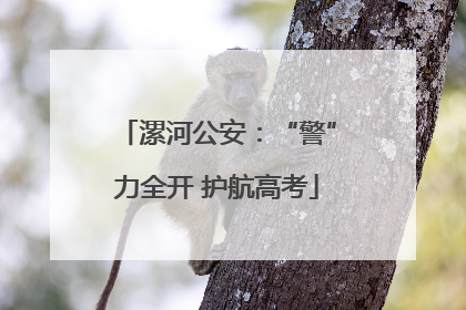 漯河公安：“警”力全开 护航高考