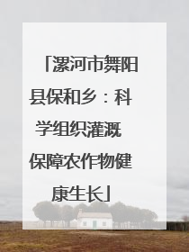 漯河市舞阳县保和乡：科学组织灌溉 保障农作物健康生长