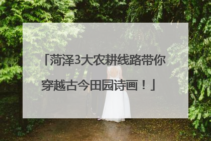 菏泽3大农耕线路带你穿越古今田园诗画！