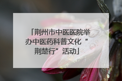 荆州市中医医院举办中医药科普文化“荆楚行”活动