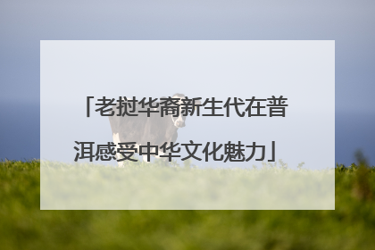 老挝华裔新生代在普洱感受中华文化魅力
