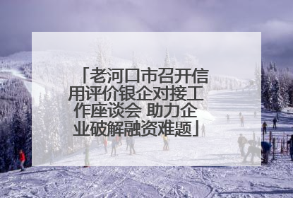 老河口市召开信用评价银企对接工作座谈会 助力企业破解融资难题