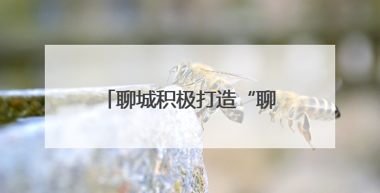 聊城积极打造“聊档为民”服务品牌