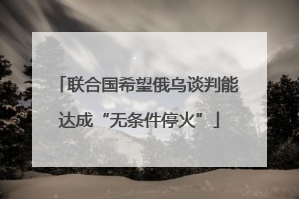 联合国希望俄乌谈判能达成“无条件停火”