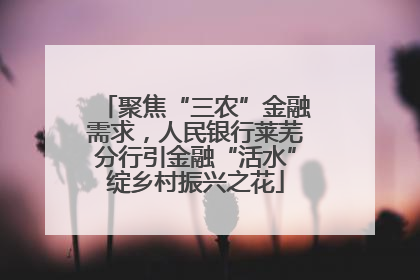 聚焦“三农”金融需求，人民银行莱芜分行引金融“活水”绽乡村振兴之花