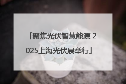 聚焦光伏智慧能源 2025上海光伏展举行