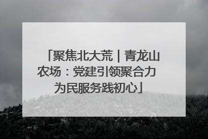 聚焦北大荒｜青龙山农场：党建引领聚合力 为民服务践初心