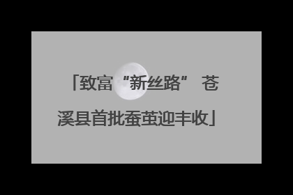 致富“新丝路” 苍溪县首批蚕茧迎丰收