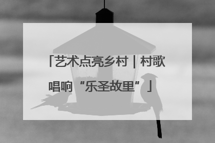 艺术点亮乡村｜村歌唱响“乐圣故里”
