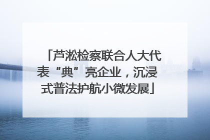 芦淞检察联合人大代表“典”亮企业，沉浸式普法护航小微发展