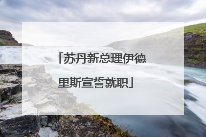 苏丹新总理伊德里斯宣誓就职