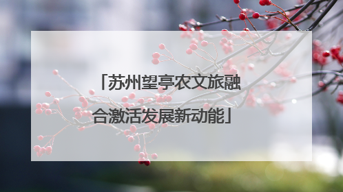 苏州望亭农文旅融合激活发展新动能