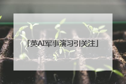 英AI军事演习引关注