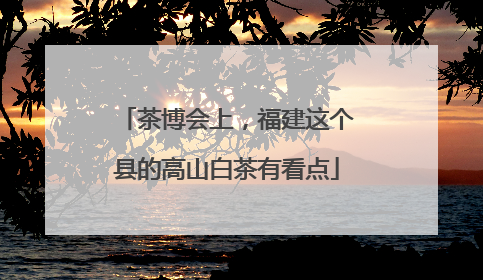 茶博会上，福建这个县的高山白茶有看点