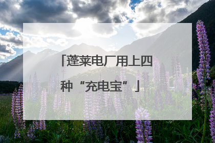 蓬莱电厂用上四种“充电宝”
