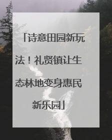 诗意田园新玩法！礼贤镇让生态林地变身惠民新乐园