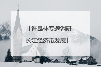 许昆林专题调研长江经济带发展