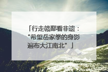 行走赣鄱看非遗：“希望岳家拳的身影遍布大江南北”
