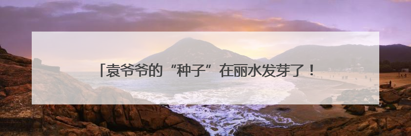 袁爷爷的“种子”在丽水发芽了！四年后，他的禾下乘凉梦这样延续
