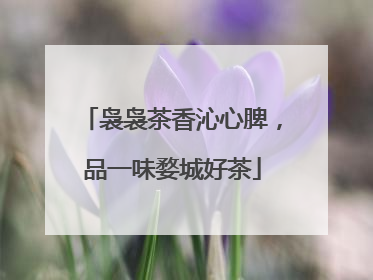 袅袅茶香沁心脾，品一味婺城好茶