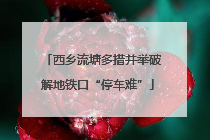 西乡流塘多措并举破解地铁口“停车难”