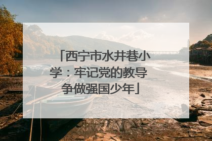 西宁市水井巷小学：牢记党的教导 争做强国少年