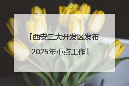 西安三大开发区发布2025年重点工作