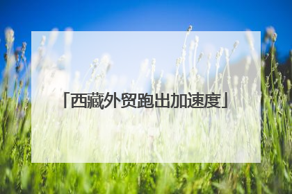 西藏外贸跑出加速度