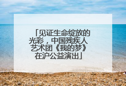 见证生命绽放的光彩，中国残疾人艺术团《我的梦》在沪公益演出