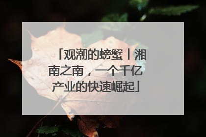 观潮的螃蟹丨湘南之南，一个千亿产业的快速崛起