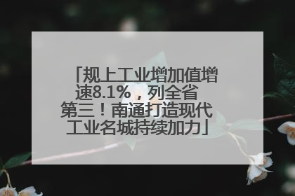 规上工业增加值增速8.1%，列全省第三！南通打造现代工业名城持续加力
