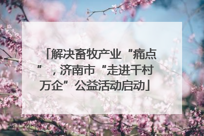 解决畜牧产业“痛点”，济南市“走进千村万企”公益活动启动