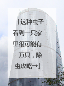 这种虫子看到一只家里很可能有一万只，除虫攻略→