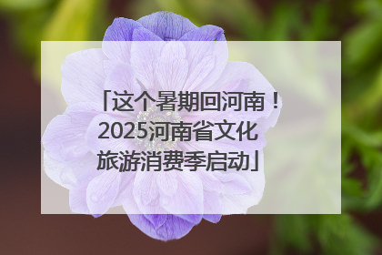 这个暑期回河南！2025河南省文化旅游消费季启动