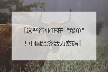 这些行业正在“爆单”！中国经济活力密码