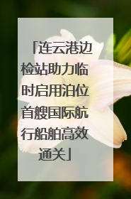 连云港边检站助力临时启用泊位首艘国际航行船舶高效通关