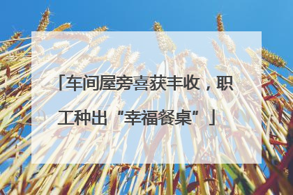 车间屋旁喜获丰收，职工种出“幸福餐桌”