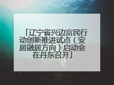 辽宁省兴边富民行动创新推进试点（安居融居方向）启动会在丹东召开