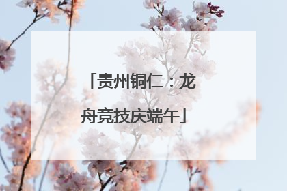 贵州铜仁：龙舟竞技庆端午