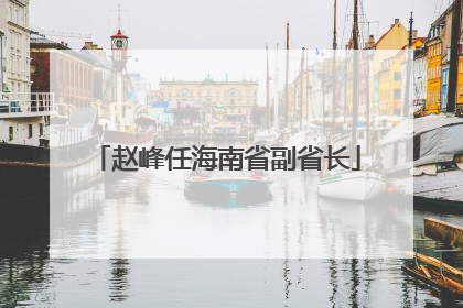 赵峰任海南省副省长